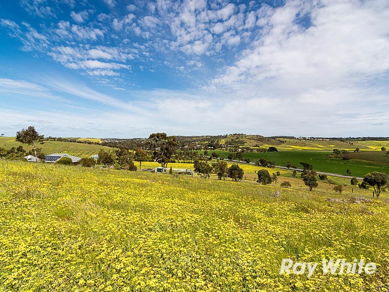 20 Hair Road, Kanmantoo SA 5252