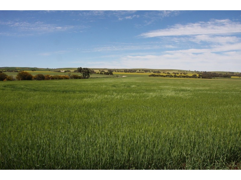 116 Bremer Range Road, Callington SA 5254