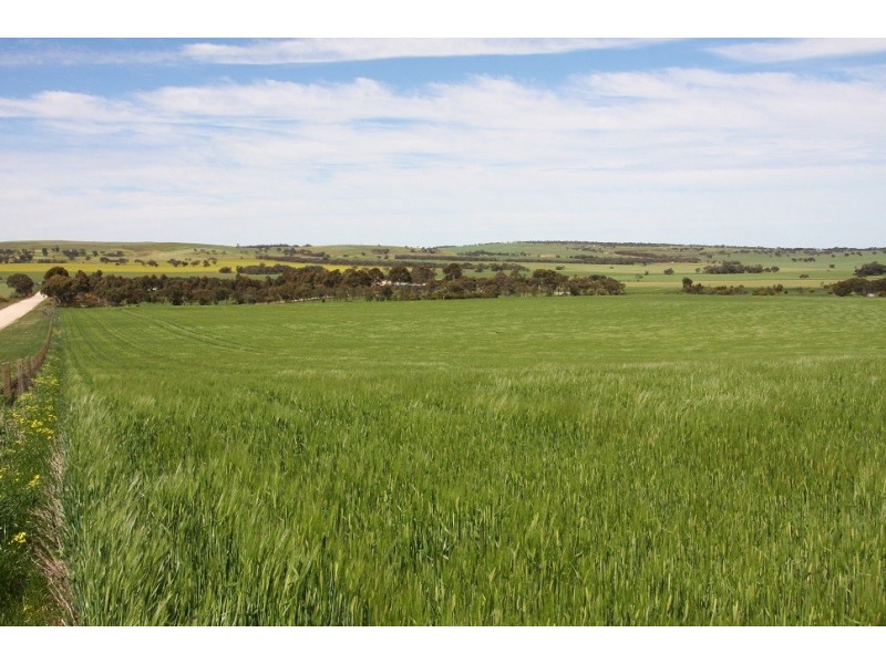 84 Bremer Range Road, Callington SA 5254