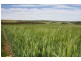 84 Bremer Range Road, Callington SA 5254