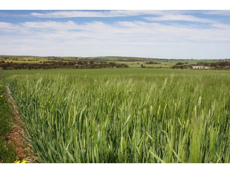 84 Bremer Range Road, Callington SA 5254