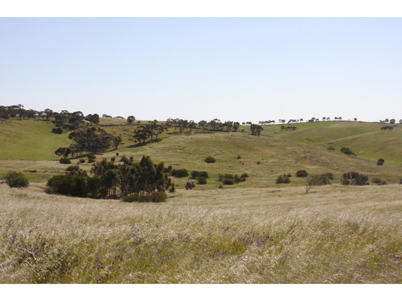 327 Tinpot Road, Woodchester SA 5255