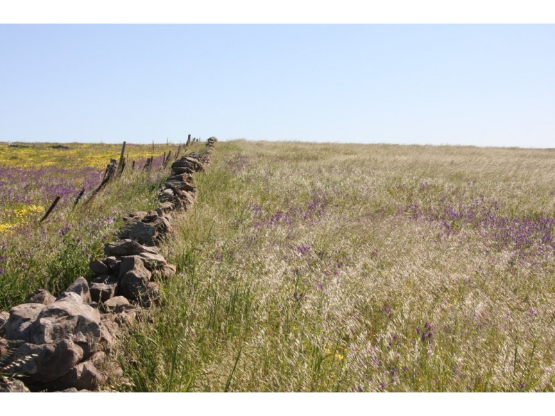 327 Tinpot Road, Woodchester SA 5255