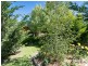 29 Callington Road, Strathalbyn SA 5255
