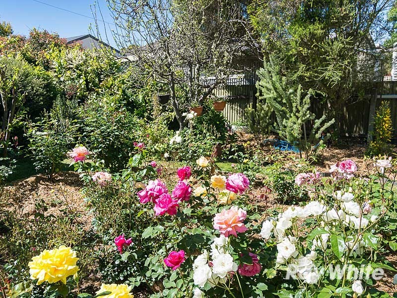 29 Callington Road, Strathalbyn SA 5255