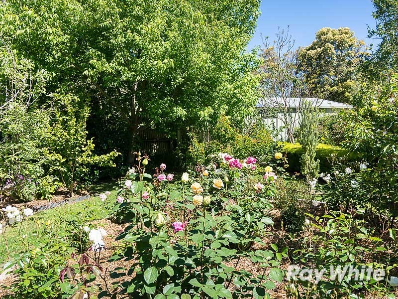 29 Callington Road, Strathalbyn SA 5255