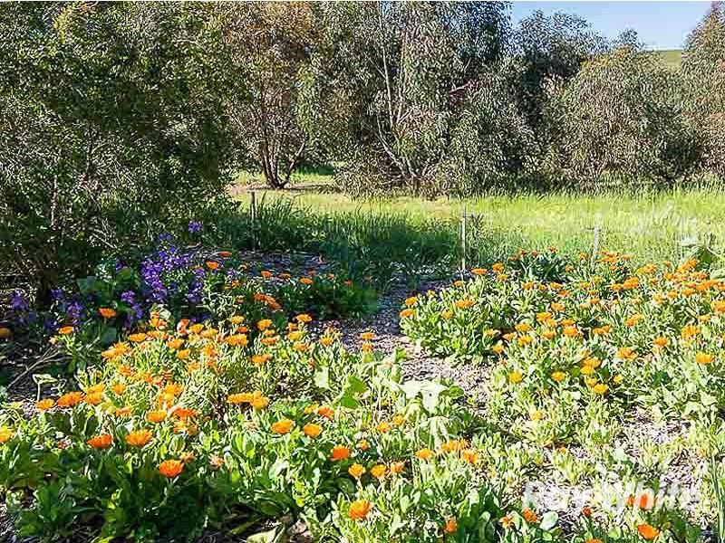 327 Tinpot Road, Highland Valley SA 5255