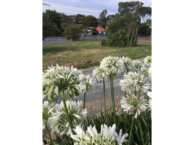 1 (Lot 8) Shakes Road, Nairne SA 5252