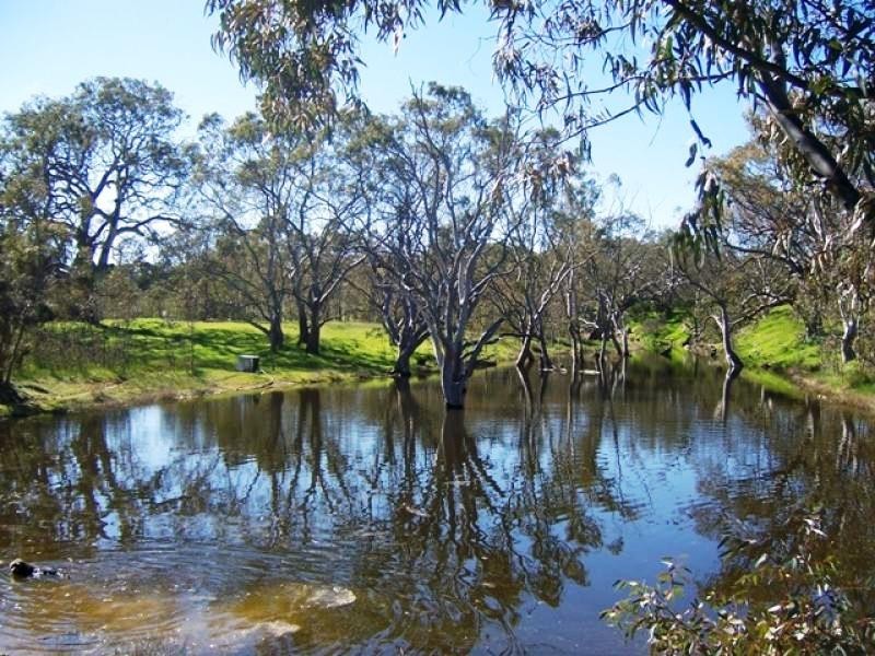 452 Archer Hill Road, Wistow SA 5251