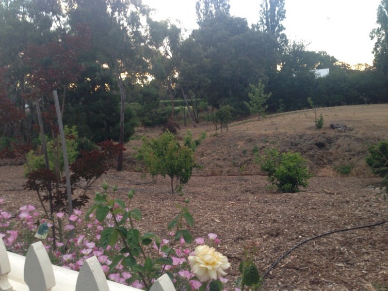 7 Parin Street, Macclesfield SA 5153