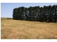 Lot 64 Gould Road, Mount Barker Springs SA 5251