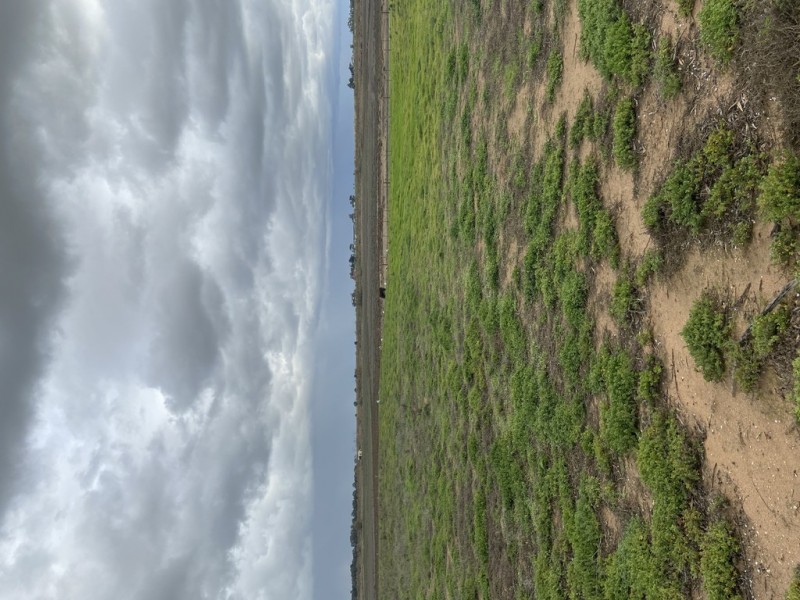 Lot 117 Kelsey Road, Wellington East SA 5259