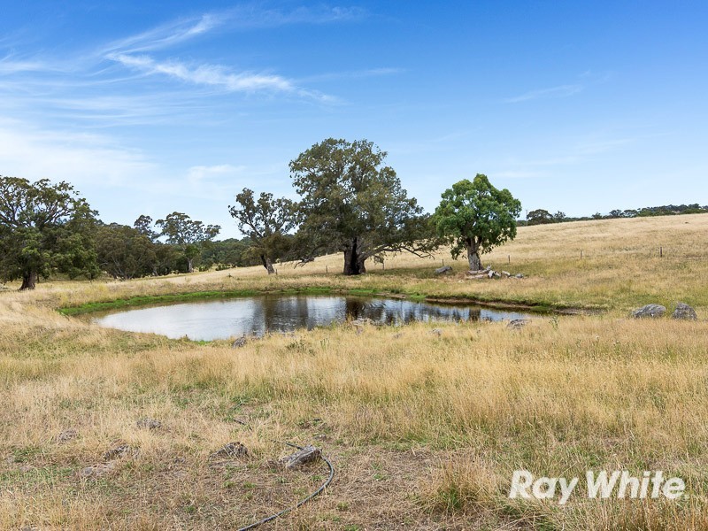 107 Scottsburn Road, Woodside SA 5244
