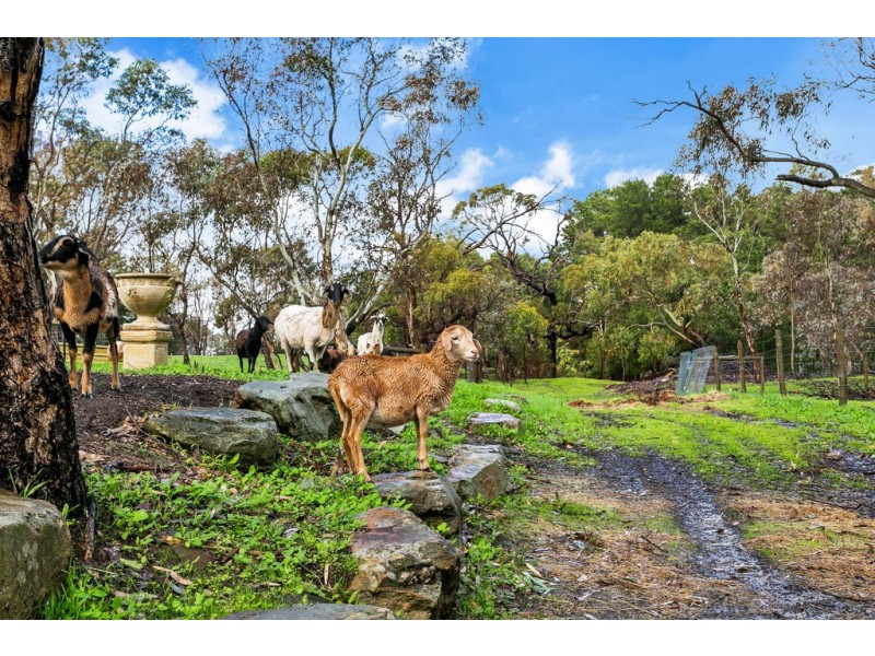 84 Terlinga Road, Mount Torrens SA 5244