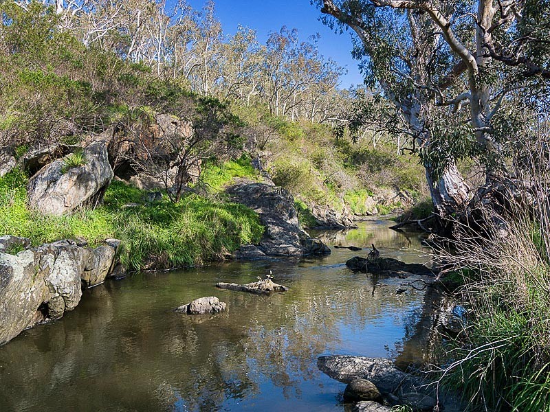 542 Springs Road, Mount Barker SA 5251