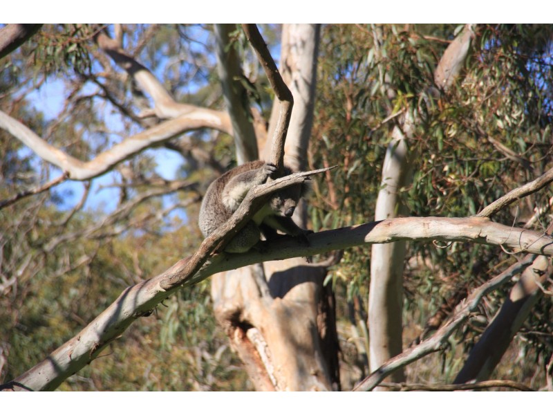 240 Charlick Road, Crafers SA 5152