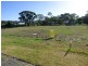 Lot 3 Cnr Laver St and Hurling Dve, Mount Barker SA 5251