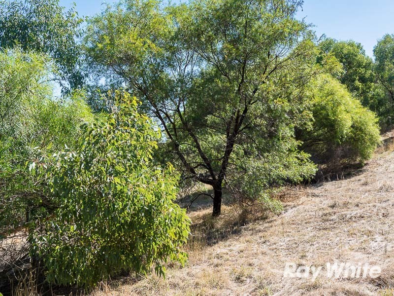 67 Taverner Road, Wistow SA 5251