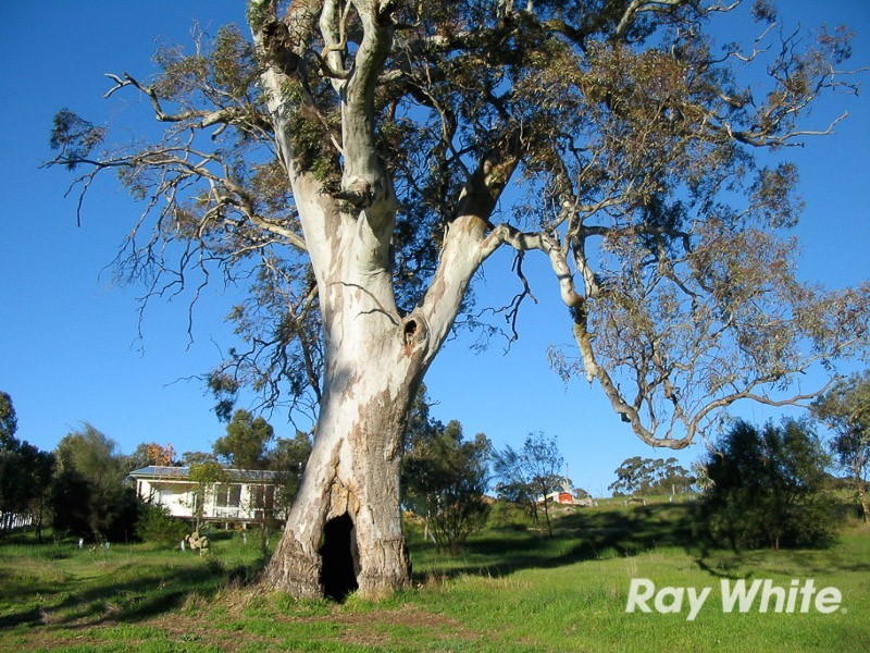 67 Taverner Road, Wistow SA 5251