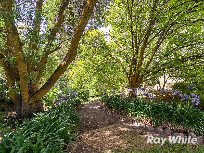 13 Todd Street, Macclesfield SA 5153