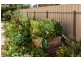 1B Herbig Court, Mount Barker SA 5251