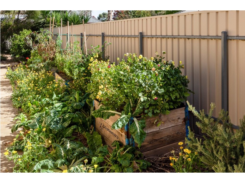 1B Herbig Court, Mount Barker SA 5251