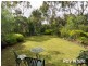 13 Collett Road, Strathalbyn SA 5255