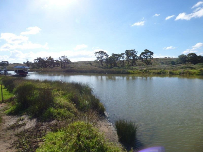 Lot 493 Marina Way, Mannum SA 5238