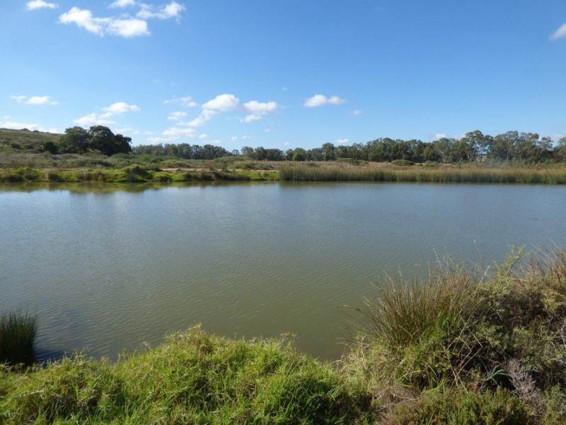Lot 493 Marina Way, Mannum SA 5238