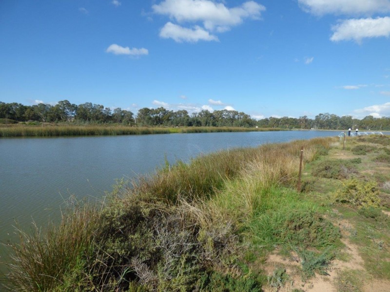 Lot 493 Marina Way, Mannum SA 5238