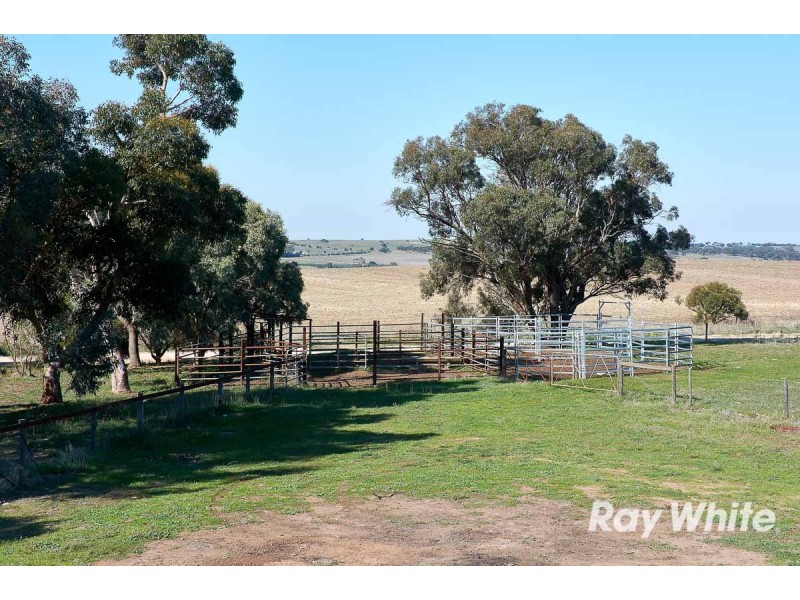 249 Burwood Road, Red Creek SA 5255