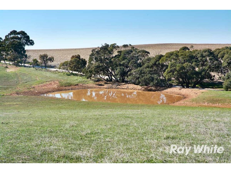 249 Burwood Road, Red Creek SA 5255