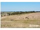 249 Burwood Road, Red Creek SA 5255