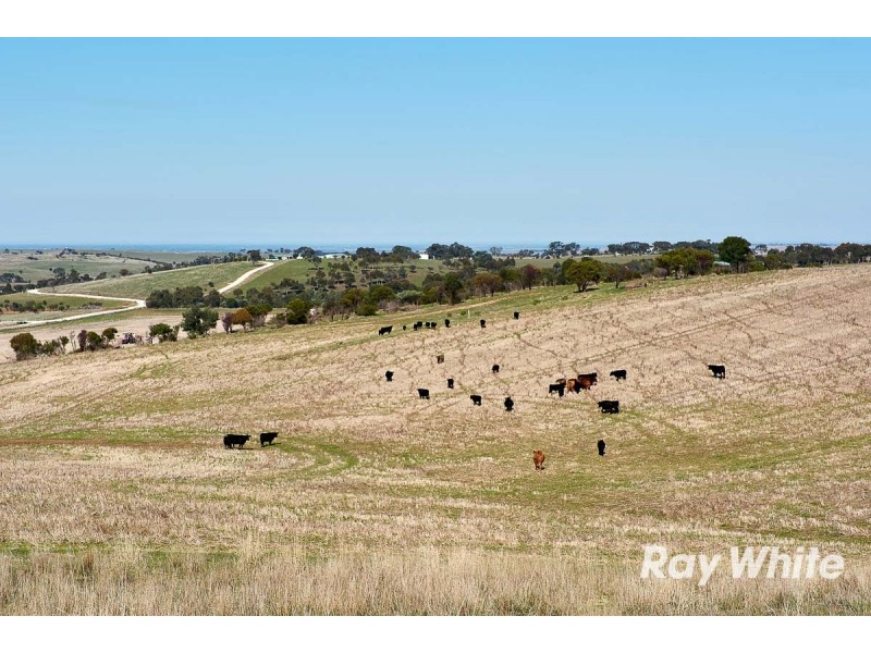 249 Burwood Road, Red Creek SA 5255