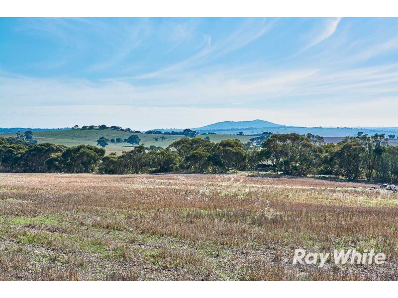 249 Burwood Road, Red Creek SA 5255