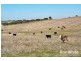 249 Burwood Road, Red Creek SA 5255