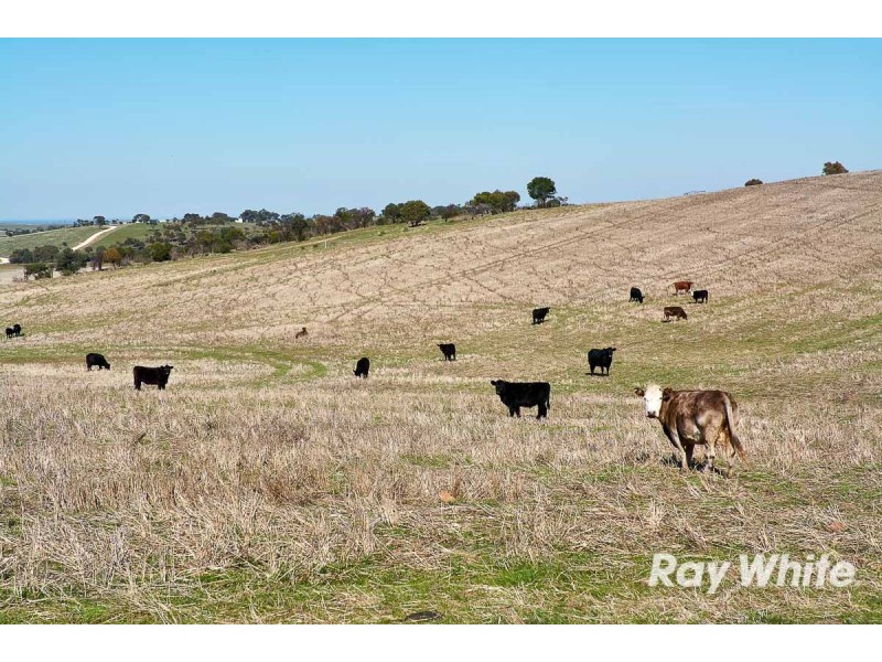 249 Burwood Road, Red Creek SA 5255