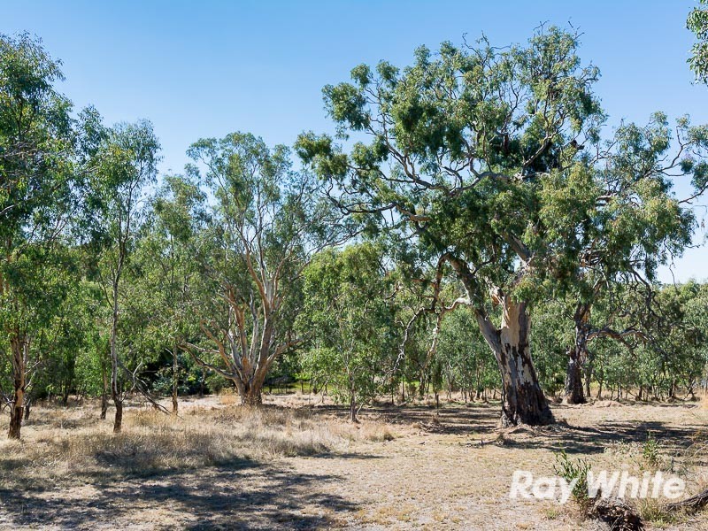 67 Taverner Road, Highland Valley SA 5255