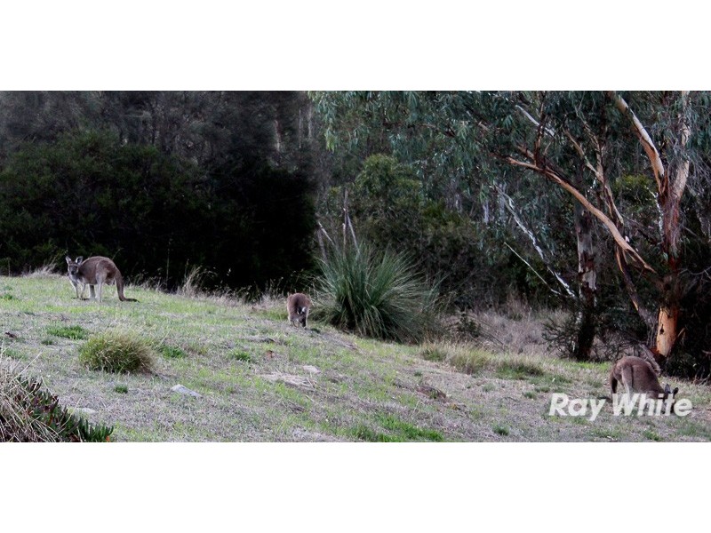 67 Taverner Road, Highland Valley SA 5255