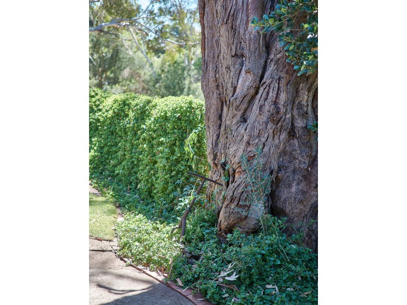 47 Jeffrey Street, Nairne SA 5252