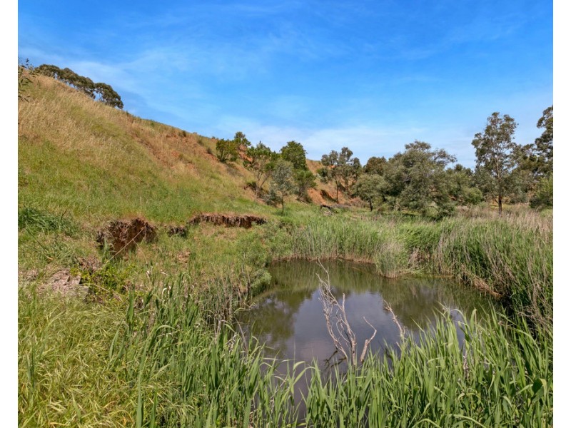 119B Lines Road, Strathalbyn SA 5255