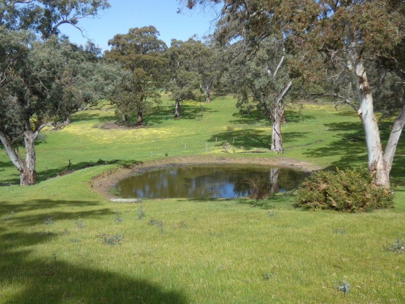 66 Nestor Road, Macclesfield SA 5153