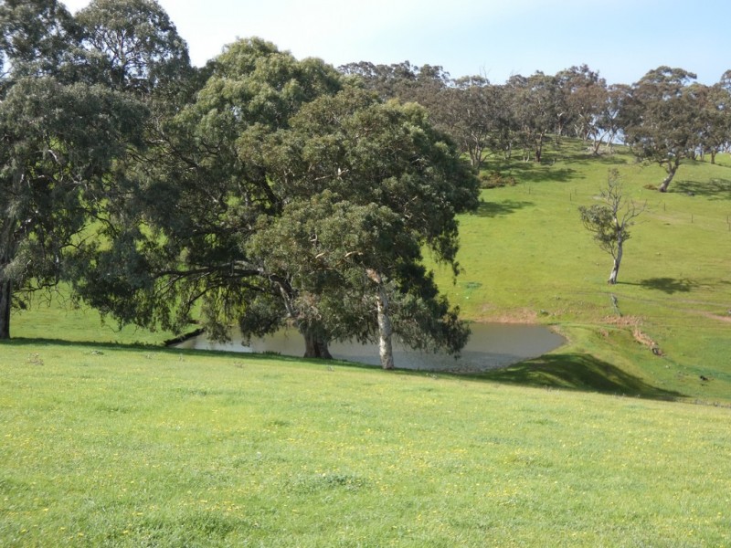 66 Nestor Road, Macclesfield SA 5153