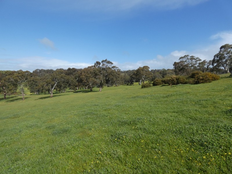 66 Nestor Road, Macclesfield SA 5153