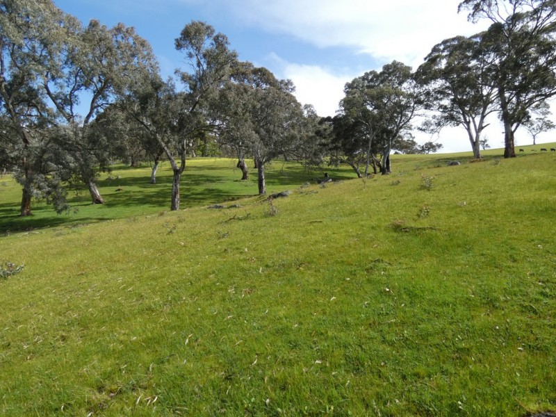 66 Nestor Road, Macclesfield SA 5153