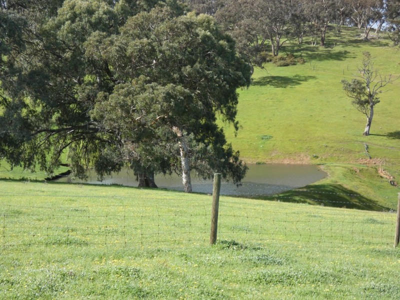 66 Nestor Road, Macclesfield SA 5153