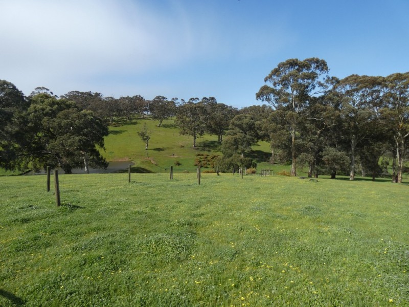 66 Nestor Road, Macclesfield SA 5153