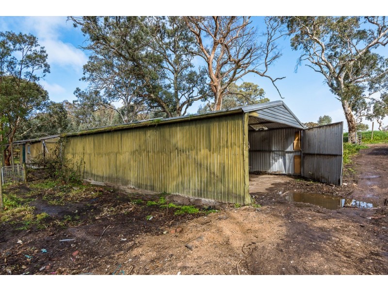 66 Nestor Road, Macclesfield SA 5153