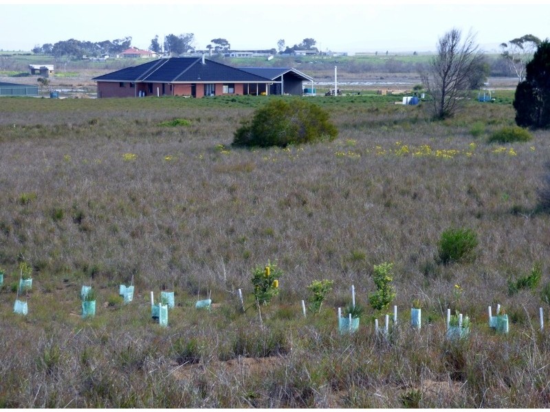 Lot 840 Trilby Road, Wellington East SA 5259