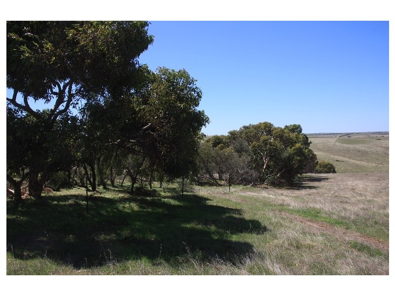 Lot 16 Wheal Ellen Road, Woodchester SA 5255